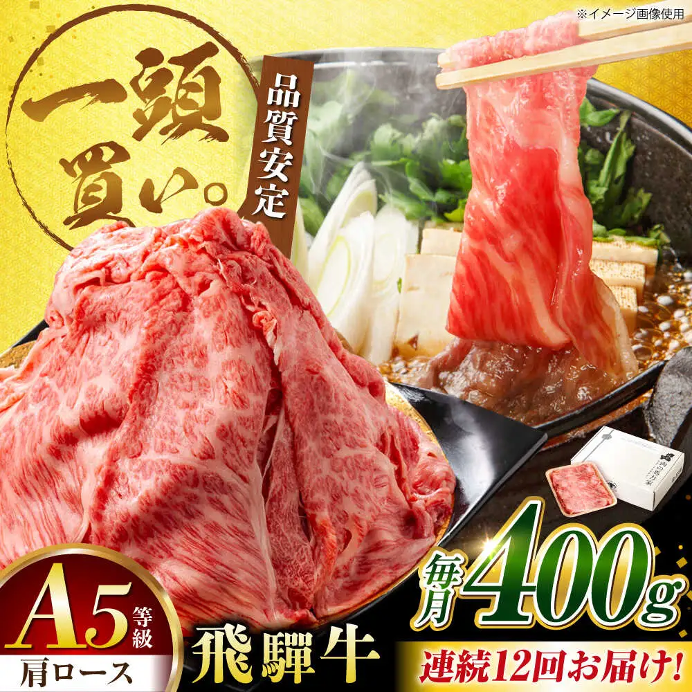 【12回定期便】飛騨牛肩ロース 400g×1パック すき焼きしゃぶしゃぶ用肉 [AVBO032]