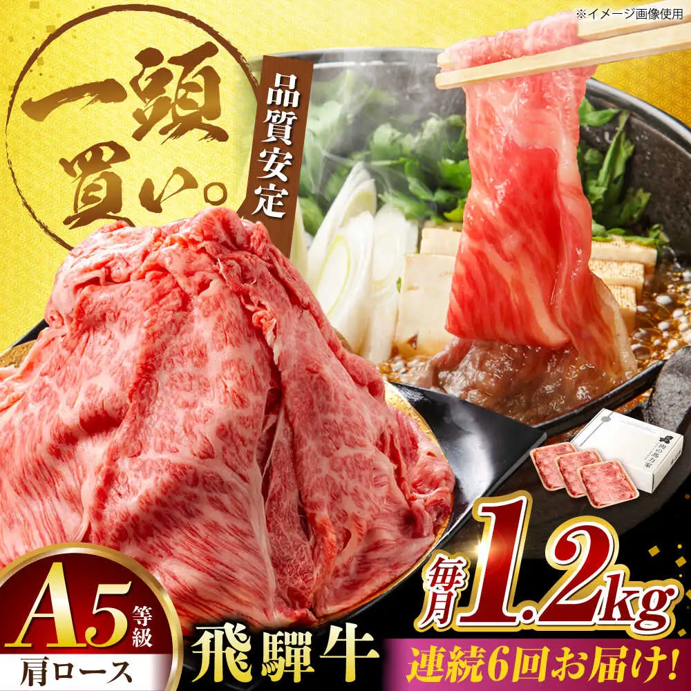 【6回定期便】飛騨牛肩ロース 1.2kg(400ｇ×3パック) すき焼きしゃぶしゃぶ用肉 [AVBO037]