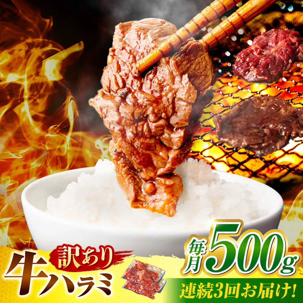 【3回定期便】【訳あり】味付けハラミ 500ｇ(250ｇ×2パック) [AVBO039] 