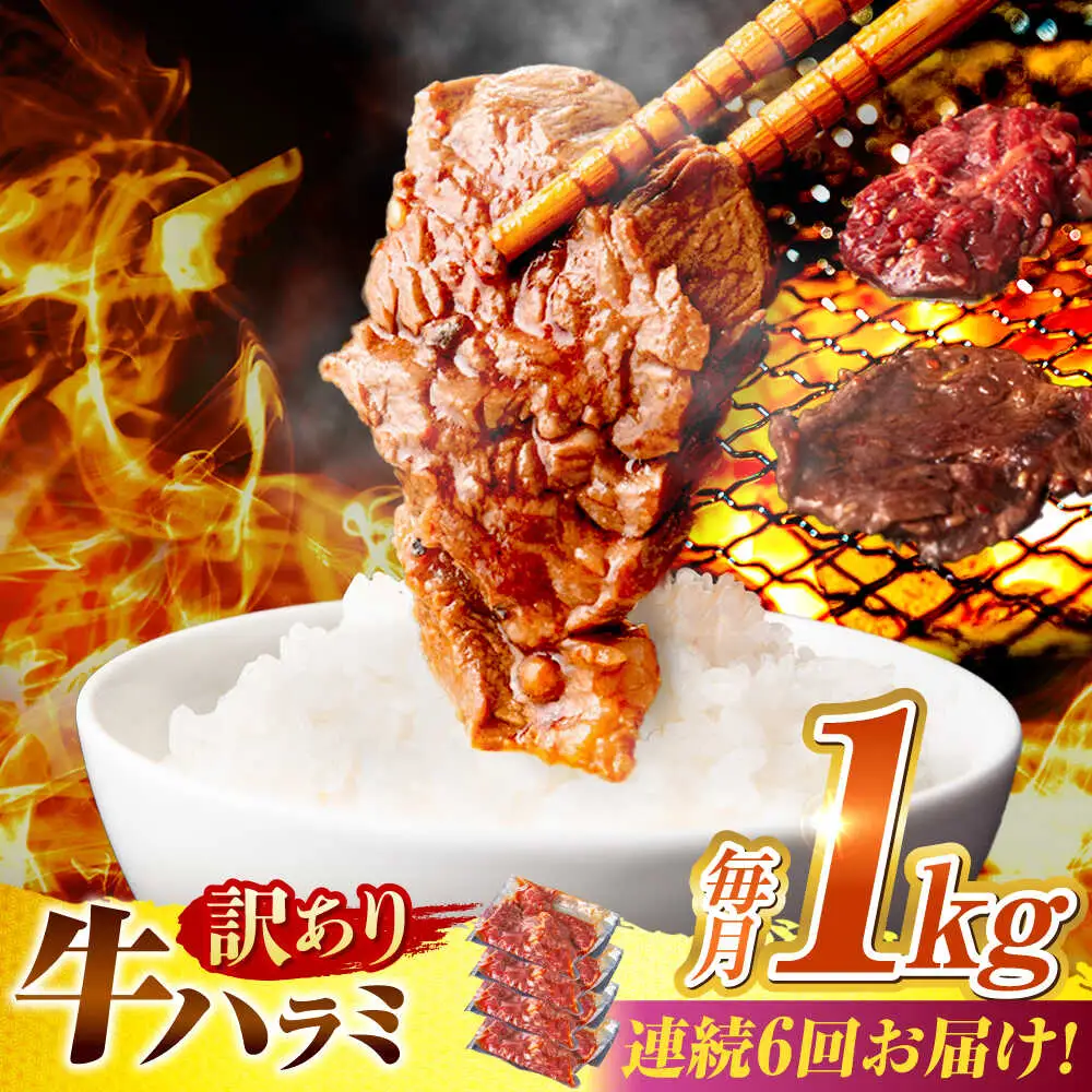 【6回定期便】【訳あり】味付けハラミ 1kg(250ｇ×4パック) [AVBO043]