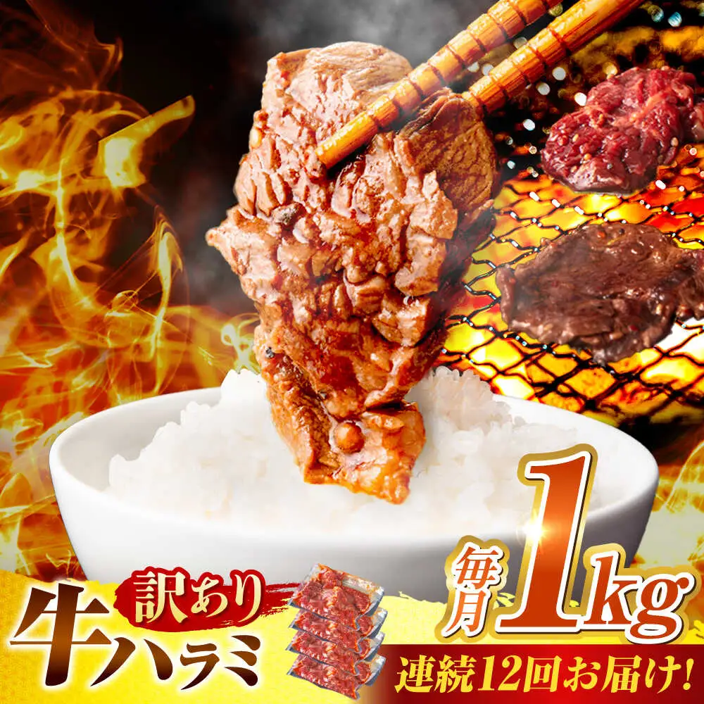 【12回定期便】【訳あり】味付けハラミ 1kg(250ｇ×4パック) [AVBO044]