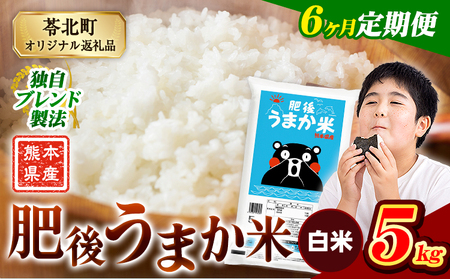 【6ヶ月定期便】肥後うまか米 5kg 白米