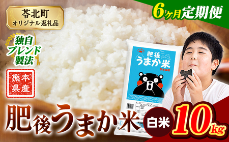 【6ヶ月定期便】肥後うまか米 10kg 白米