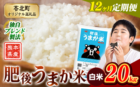 【12ヶ月定期便】肥後うまか米 20kg 白米《お申込み翌月から出荷》