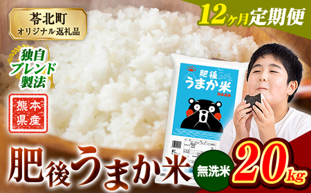 【12ヶ月定期便】肥後うまか米 20kg 無洗米《お申込み翌月から出荷》