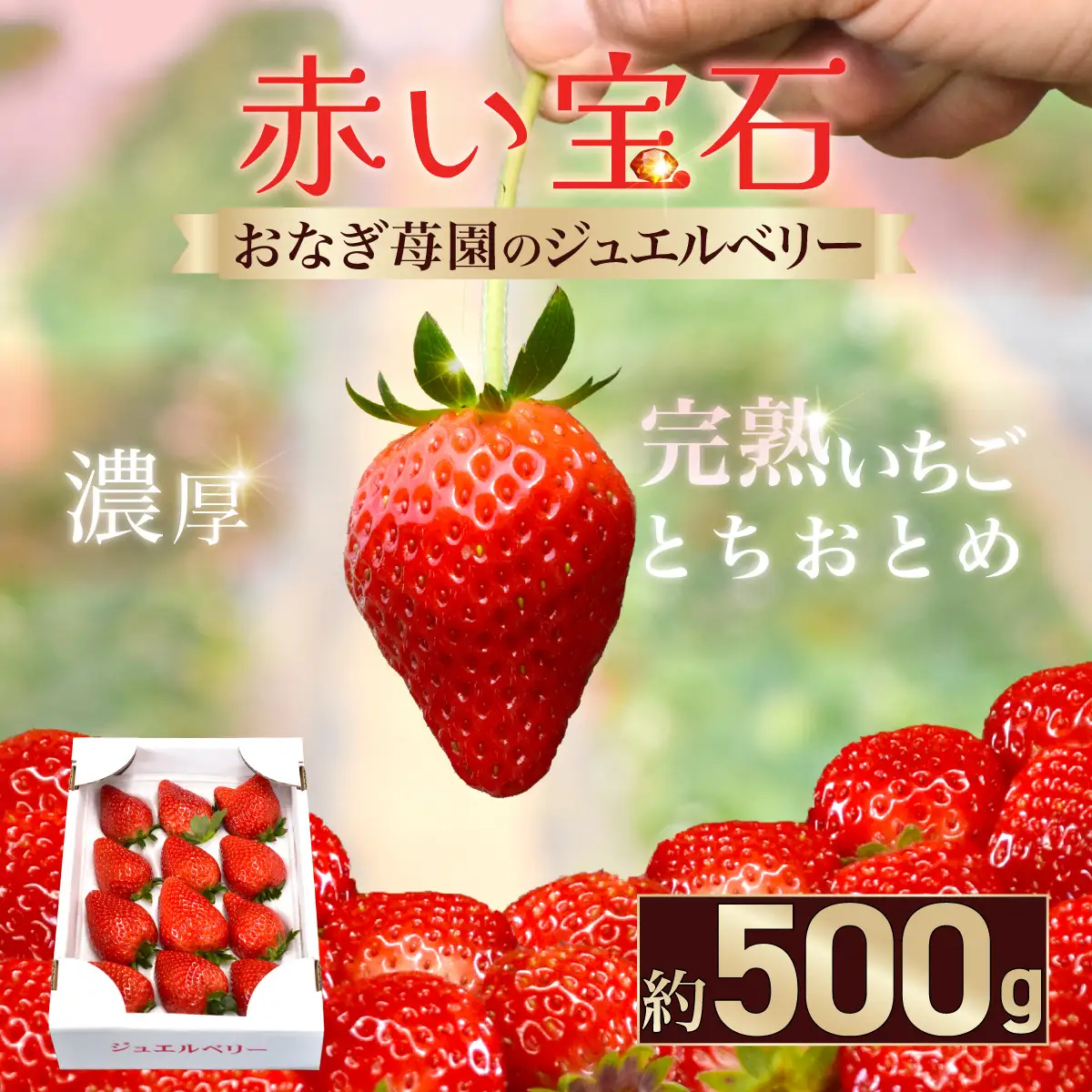 【先行予約】【1月下旬から発送】赤い宝石 おなぎ苺園のジュエルベリー 完熟いちご とちおとめ 約500g SMCO001