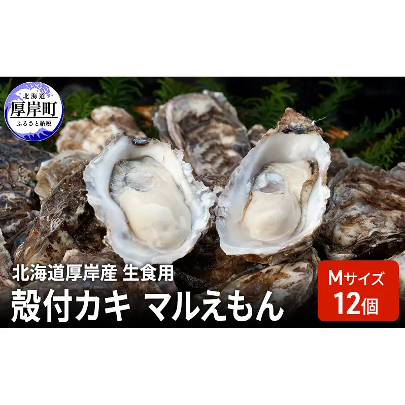 北海道厚岸産 生食用 殻付カキ Mサイズ  12個　マルえもん 魚貝類 海の幸 海のミルク 海鮮 国産 北海道産 オイスター つまみ お酒 あて 肴 生牡蠣 メルマガ掲載商品1