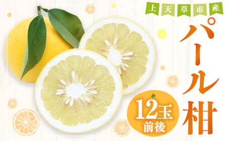 ＜ R8年熊本地震復興支援 ＞【先行受付】上天草市産 パール柑 約5kg 12玉前後 柑橘 フルーツ 果物 果実 熊本県 上天草市【2027年2月下旬～4月下旬順次発送予定】