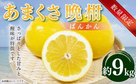 【先行受付】【数量限定】あまくさ晩柑 約9kg 晩柑 柑橘 フルーツ 果物 熊本県 上天草市【2027年3月上旬～4月下旬順次発送】