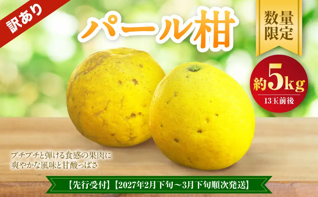 【先行受付】【数量限定】【訳あり】パール柑 約5kg 13玉前後 訳あり 訳アリ 柑橘 フルーツ 果物 果実 くだもの 九州産 熊本県 上天草市【2027年2月下旬～3月下旬順次発送】