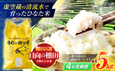 【4回定期便】米 ひなた米 5kg [OCM044]