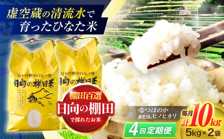 【4回定期便】米 ひなた米 10kg (5kg ×2袋) [OCM052]