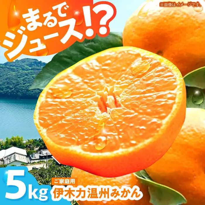 伊木力温州みかん 5kg AHBD003 みかん