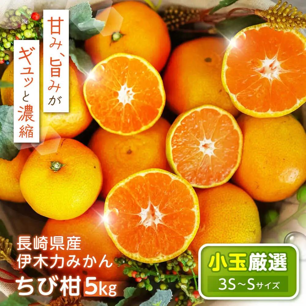 ※【2026年10月下旬より順次発送／先行予約】伊木力みかん(ちび柑) 5kg / みかん s みかんsサイズ ミカン 蜜柑 柑橘 フルーツ ふるーつ 果物 くだもの / 諫早市 / 山野果樹園 [AHCF013]