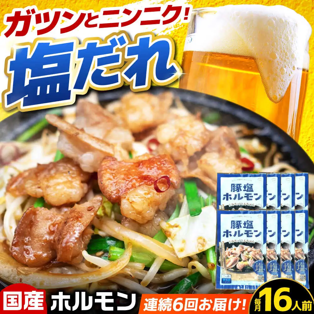 【6回定期便】岐阜県産豚もつの鉄板焼き「元祖みたけとんちゃん」豚塩味（16人前）[AVAA080]豚ホルモン 定期