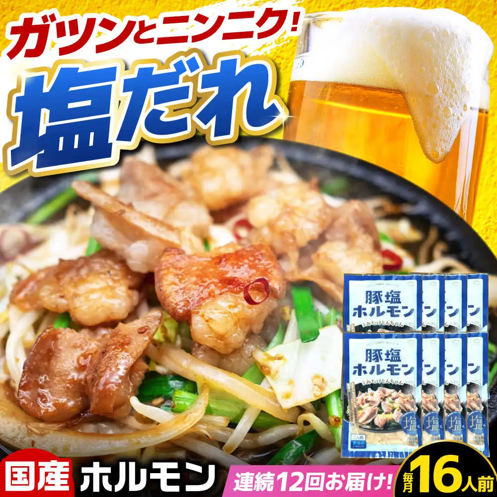 【12回定期便】岐阜県産豚もつの鉄板焼き「元祖みたけとんちゃん」豚塩味（16人前）[AVAA081]豚 定期