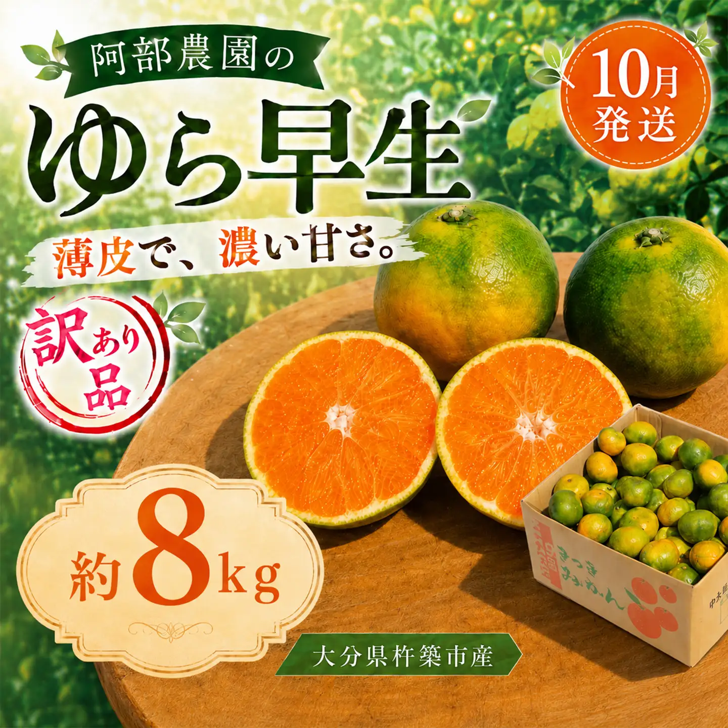 ゆら早生 約8kg 訳あり品 阿部農園 温州みかん 極早生 先行予約 10月 ミカン ＜112-020＞