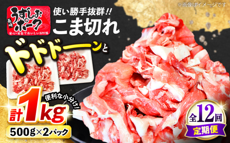 12回定期便 長崎うずしおポーク こま切れ 1kg CAG313 こま切れ 訳あり