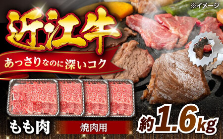 近江牛焼肉もも肉1.6kg [AQDB022] 近江牛 もも 牛肉 焼肉
