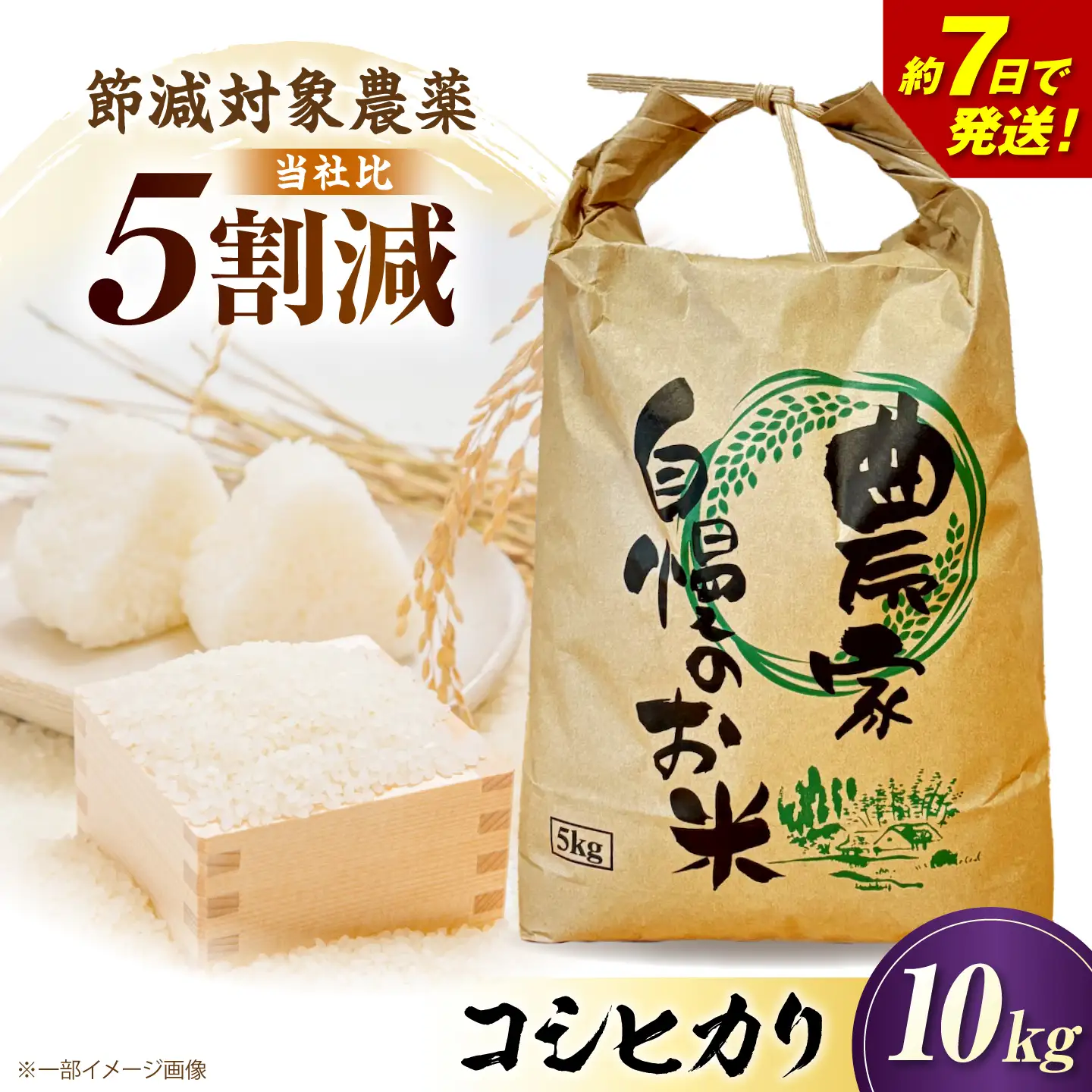 コシヒカリ 新米 白米 10kg [AQDK002] こしひかり