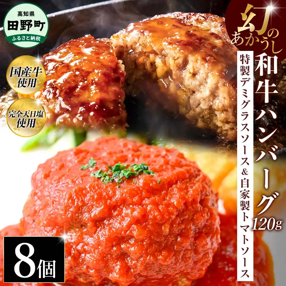 幻のあかうし和牛ハンバーグ 8個入り 1個120g 特製デミソース トマトソース付き 田野屋青蜂 白鯆 完全天日塩練り込み