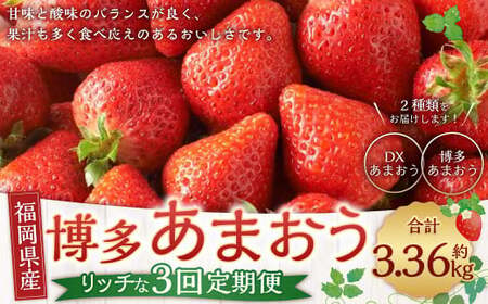 博多 あまおう リッチな 3回 定期便 計約 3360g 福岡 イチゴ いちご 苺 フルーツ【2026年12月上旬～2027年2月下旬発送予定】