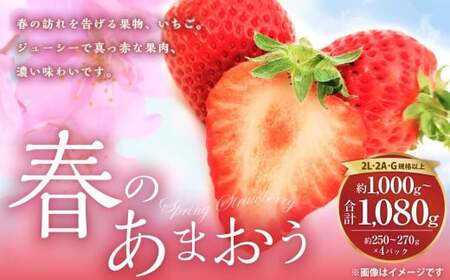 春のあまおう （2L ・ 2A ・ G規格以上 6パック） 【数量限定】 【2027年3月上旬～4月下旬発送予定】 あまおう 苺 いちご 果物 果実 フルーツ 九州 福岡県 遠賀町 冷蔵
