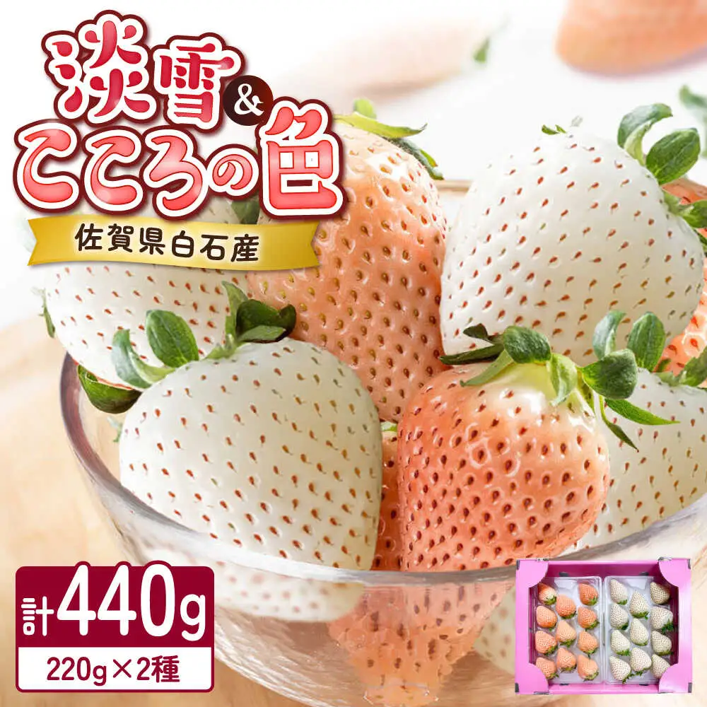【2027年2月以降順次発送】淡雪・こころの色 白いちごプレミアム 計440g（220g×2パック）/ 岸川農園 [41ASAG007]