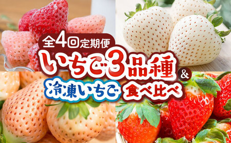 【全4回定期便】岸川農園 超希少品種入り赤白いちご（淡雪・さがほのか・こころの色・冷凍いちご） / 佐賀県 / 岸川農園 [41ASAG008]