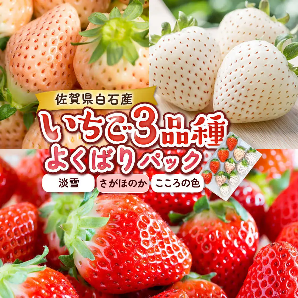 【2027年2月以降順次発送】1パックに3色いちご（こころの色・さがほのか・淡雪）220g×1パック / 佐賀県 / 岸川農園 [41ASAG009]