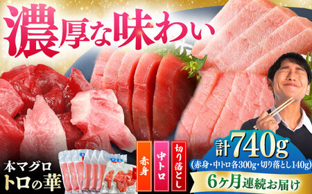 【全6回定期便】対馬産 本マグロ 740g（赤身300g、中トロ300g、切り落とし140g） ≪対馬市≫【桐谷商店】 トロの華 対馬 新鮮 マグロ 赤身 トロ 切り落とし 鮪 刺身[WAQ081]