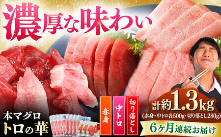 【全6回定期便】対馬産 本マグロ 約1.3kg（赤身500g、中トロ500g、切り落とし280g） ≪対馬市≫【桐谷商店】 トロの華 対馬 新鮮 マグロ 赤身 トロ 切り落とし 鮪 刺身[WAQ089]