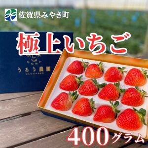 GF005_【2025年11月中旬～2026年4月発送】極上いちご 400ｇ