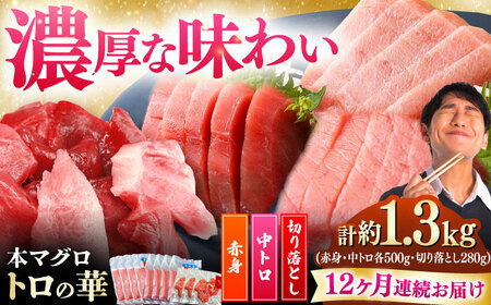 【全12回定期便】対馬産 本マグロ 約1.3kg（赤身500g、中トロ500g、切り落とし280g） ≪対馬市≫【桐谷商店】 トロの華 対馬 新鮮 マグロ 赤身 トロ 切り落とし 鮪 刺身[WAQ090]