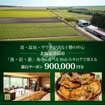 【北海道ツアー】帯広市 後から選べる旅行Webカタログで使える!旅行クーポン 90万円分【1181752】