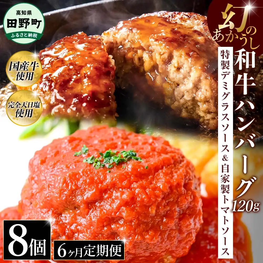 幻のあかうし和牛ハンバーグ 8個入り 6ヶ月定期便 1個120g 特製デミソース トマトソース付き 田野屋青蜂 白鯆 完全天日塩練り込み 