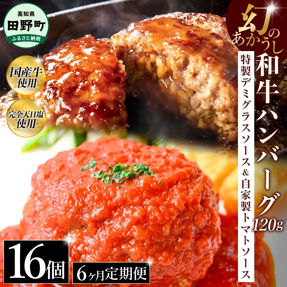 幻のあかうし和牛ハンバーグ 16個入り 6ヶ月定期便 1個120g 特製デミソース トマトソース付き 田野屋青蜂 白鯆 完全天日塩練り込み