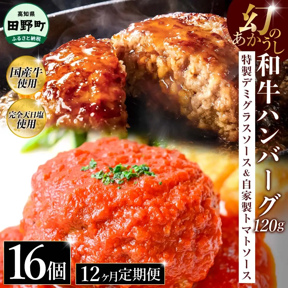 幻のあかうし和牛ハンバーグ 16個入り 12ヶ月定期便 1個120g 特製デミソース トマトソース付き 田野屋青蜂 白鯆 完全天日塩練り込み