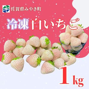 GF007_【2026年6月以降発送】冷凍白いちご１ｋｇ