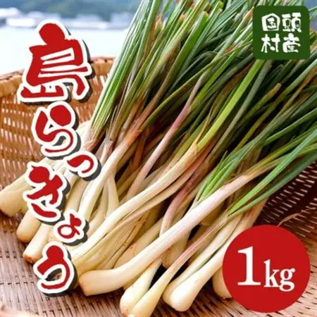 【2027年2月中旬から順次発送】産地直送!沖縄おつまみの定番の島らっきょう1kg【配送不可地域：離島】【1584610】