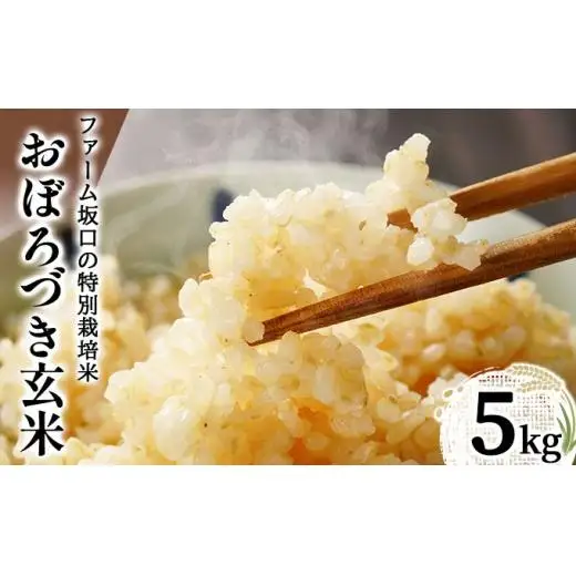 令和7年産!ファーム坂口の特別栽培米 おぼろづき玄米5kg