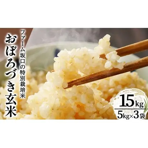 令和7年産!ファーム坂口の特別栽培米 おぼろづき玄米15kg(5kg×3袋)
