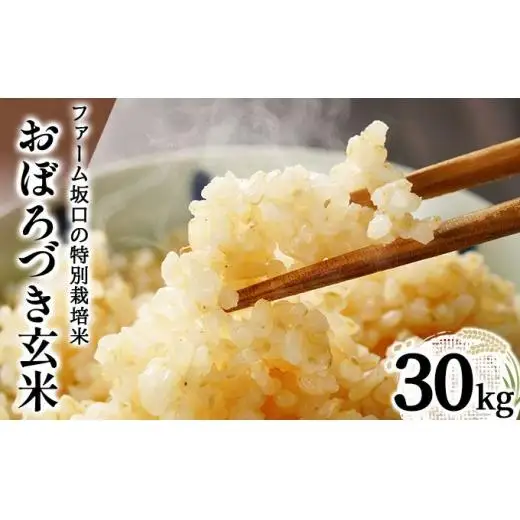 令和7年産!ファーム坂口の特別栽培米 おぼろづき玄米30kg(30kg×1袋)