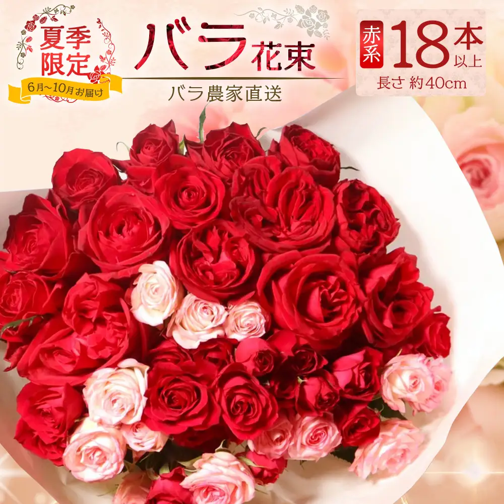 【日付指定必須・ギフト対応可】 夏季限定 ばら農家直送！バラ花束18本以上お届け(赤系) TB-1│ローズ 新鮮 花 フラワー 花束 ばら 薔薇 バラ 誕生日 記念日 結婚祝い ギフト プレゼント お祝い 贈り物 贈答 鹿児島県 南大隅町 富田バラ園