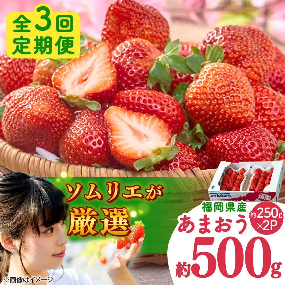 【全3回定期便】福岡産 冬あまおう 250g×2P BGAG041 定期便 いちご苺