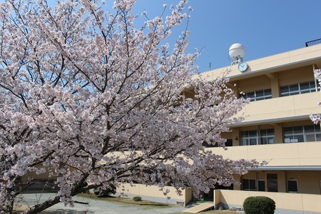 【学校応援ふるさと寄附金】田原本町立東小学校（返礼品なし）10,000円 ／ 寄付だけ 寄付のみ 小学校 小学生 生徒 応援 教育 学習