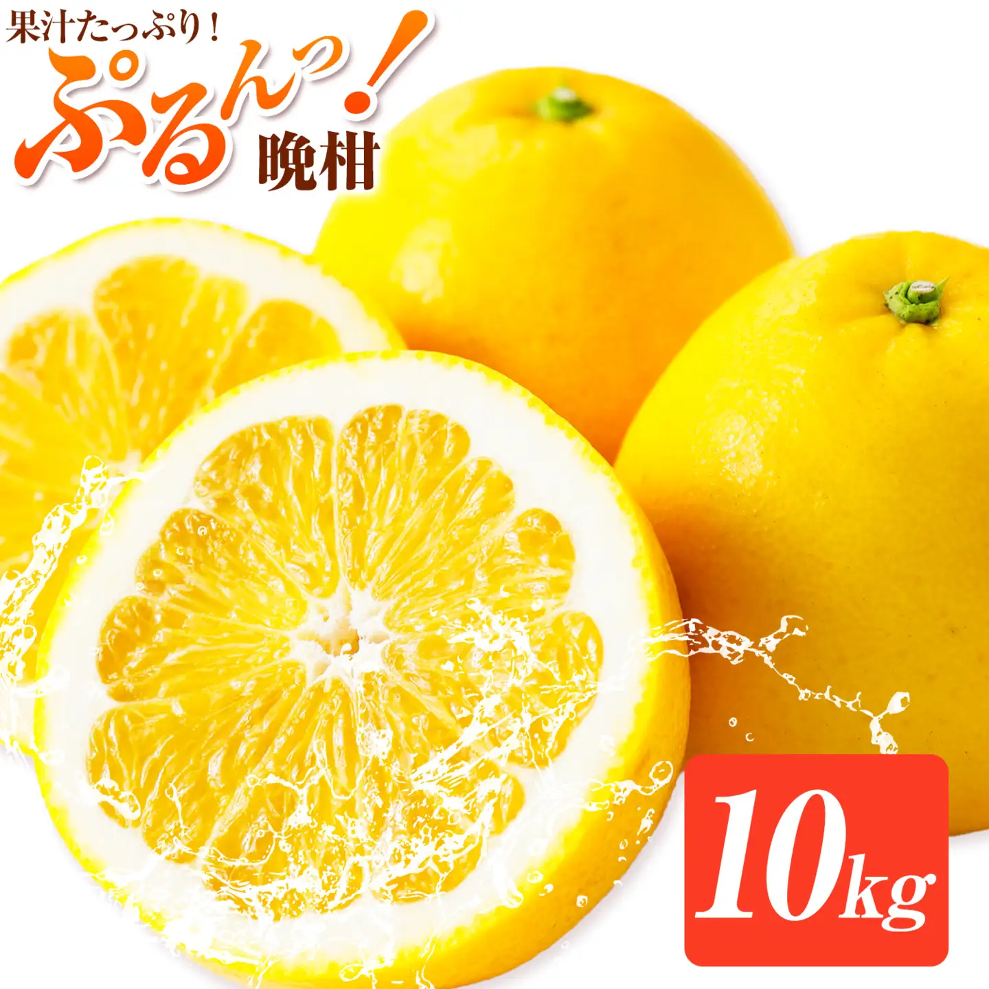 熊本 晩柑 10kg 高橋商店 天草晩柑
