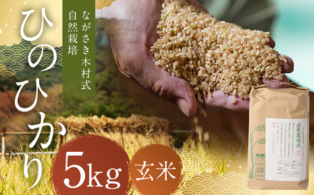 ながさき木村式自然栽培 令和8年産 ひのひかり 玄米 5kg【2026年10月上旬より順次発送開始】／ 5キロ ヒノヒカリ お米 米 国産 九州 長崎県 長崎市