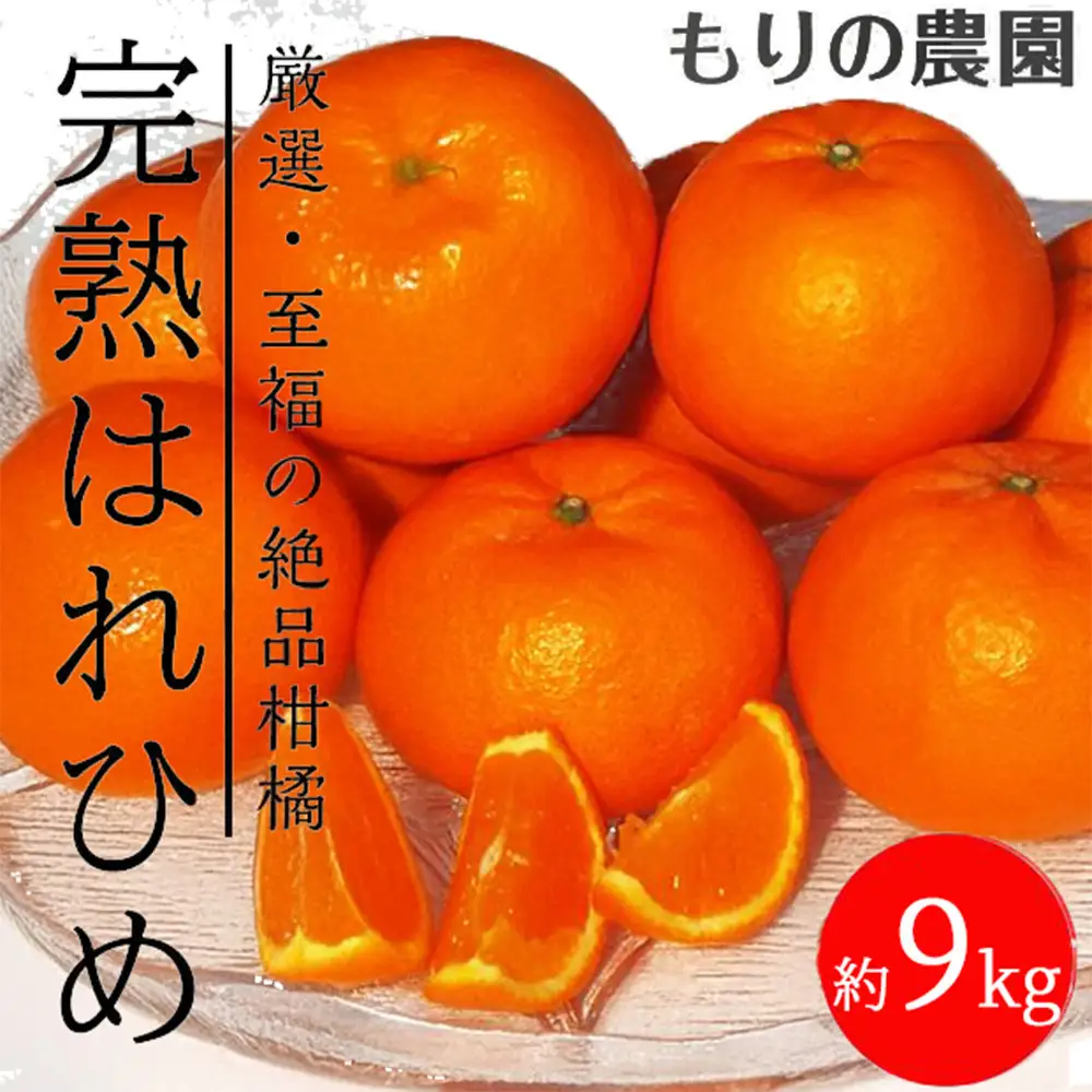 はれひめ「みかんの甘み」と「オレンジの香り」の新品種！9kg