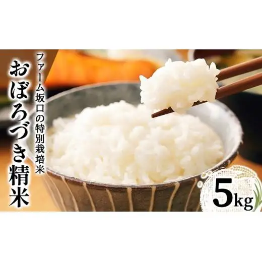 令和7年産!ファーム坂口の特別栽培米 おぼろづき精米 5kg